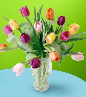 Carnival Bouquet