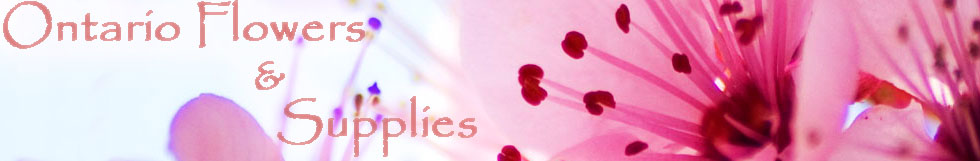 Ontario Flowers & Supplies