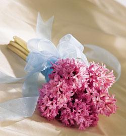 Pink Bouquet