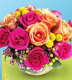 Sundance Bouquet